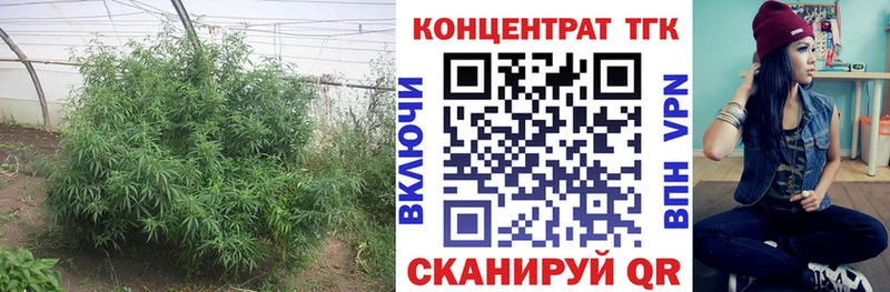 Дистиллят ТГК THC oil  наркошоп  Можга 