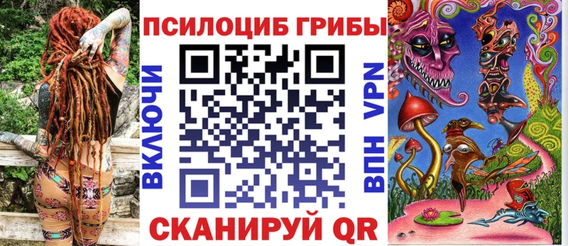закладки  Можга  Псилоцибиновые грибы Psilocybe 